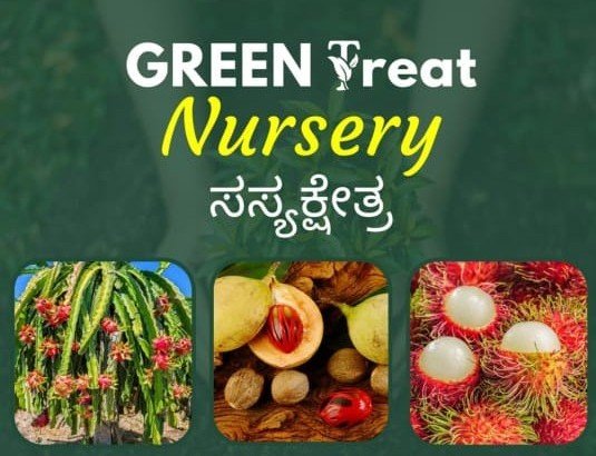 GREEN TREAT  PLANT  NURSERY  Logo